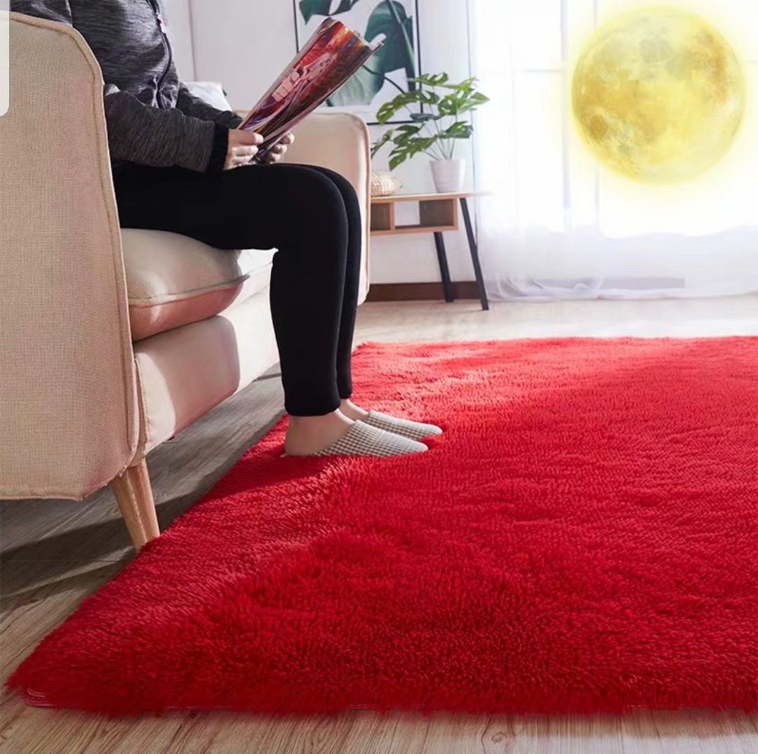 RULDGEE Shaggy Carpet for Living Room Home Plush Floor Alfombra Fluffy Mats Kids Room Faux Fur Area Rug Living Room Silky Rugs